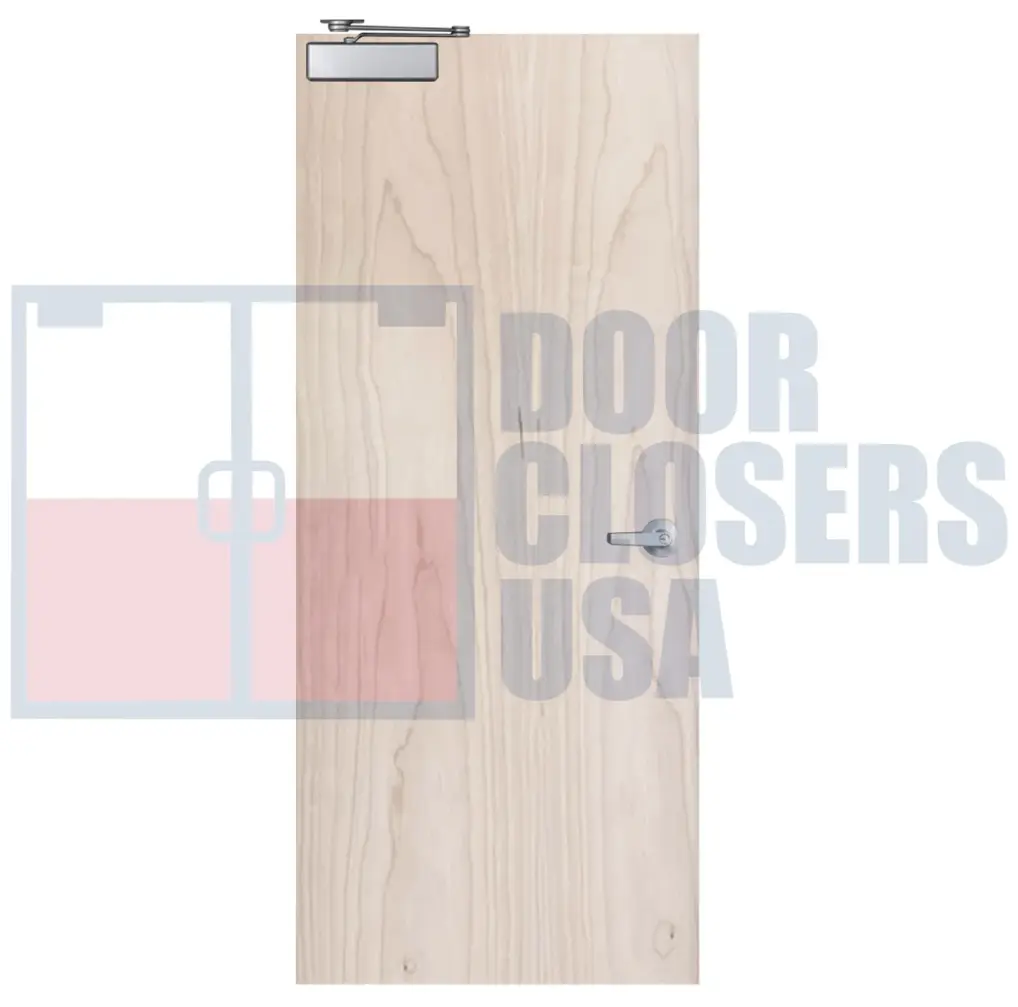 Rotary Cut Natural Birch (popular)